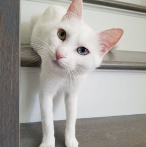 Meet your Posher, Weina